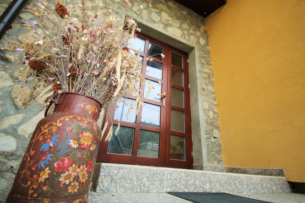 Hotel Mai Danube Ieşelniţa Exteriér fotografie